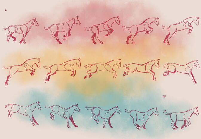 gallop